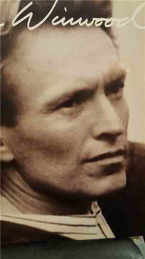 Steve Winwood - Chronicles