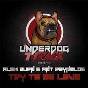 Alex Burn & Ant Reynolds - Try To Be Love
