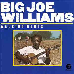 Big Joe Williams - Walking Blues