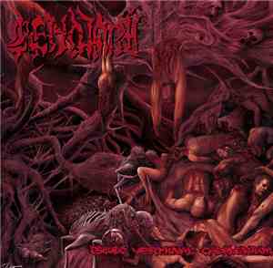 Cenotaph  - Pseudo Verminal Cadaverium