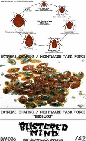 Extreme Chafing / Nightmare Task Force - Bedbugs
