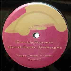 Derrick Carter's Sound Patrol Orchestra - Tripping Among The Stars (Volume 2)