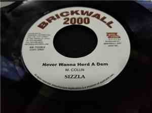 Sizzla - Never Wanna Herd A Dem - Star Mix
