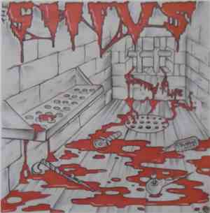 The Shivs  - Scarred 4 Life