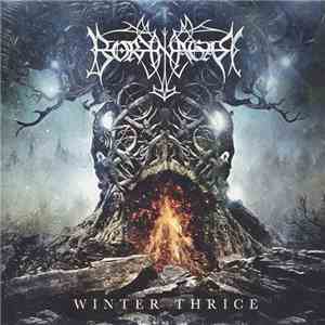 Borknagar - Winter Thrice