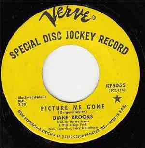 Diane Brooks - Picture Me Gone / Sometimes I Wonder