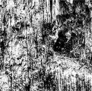 Sleep Column - Rshava Kora