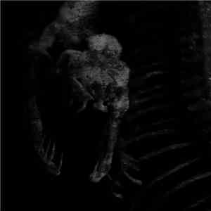 The Council Of Days - Dark Night Of The Soul