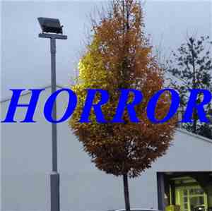 The Happy Birthdays  - Horror