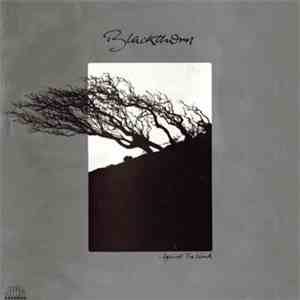 Blackthorn  - Against The Wind