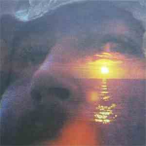 David Crosby - If I Could Only Remember My Name
