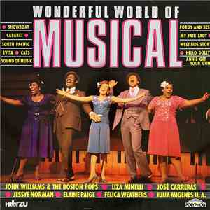 Various - Wonderful World Of Musical