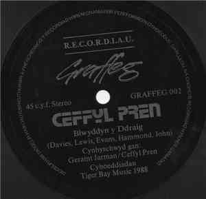 Ceffyl Pren - Blwyddyn Y Ddraig