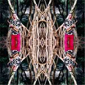The Vitamin B12 - Laleh Ladan Gatefold Set