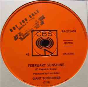 The Giant Sunflower - February Sunshine