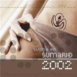 Various - Svona Er Sumarið 2002