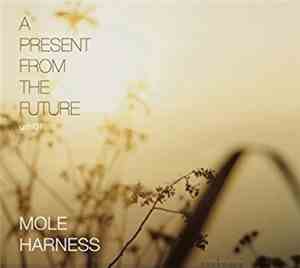 Mole Harness - A Present From The Future