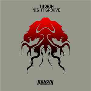 Thorin - Night Groove