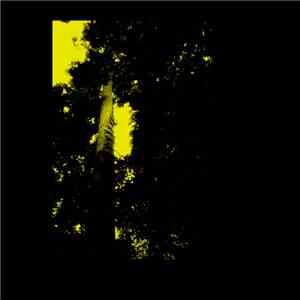 Isorinne - 2061