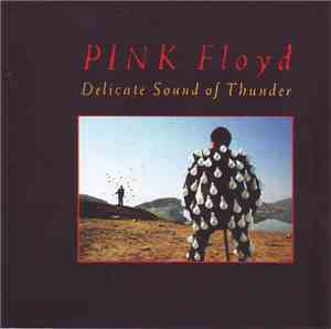 Pink Floyd - Delicate Sound Of Thunder