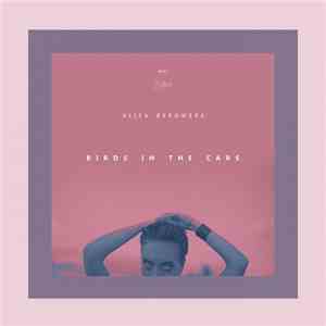 Alisa Bergwerk - Birds In The Cars