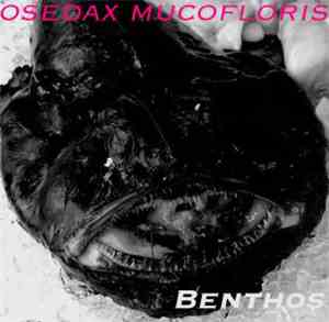 Osedax Mucofloris - Benthos