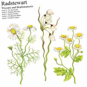 Radstewart - Wiccans And Beatlemancers