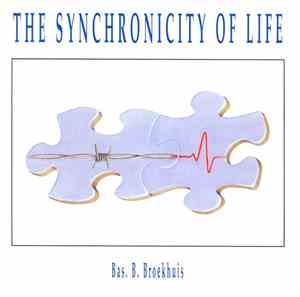 Bas B. Broekhuis - The Synchronicity Of Life