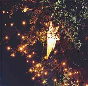 Native Lights - Blue Star
