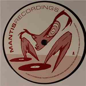 Rhythm Plate - Prospect Drive