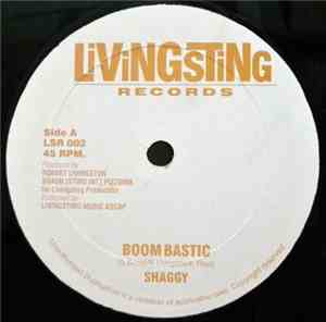 Shaggy - Boom Bastic