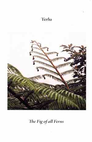 Terlu - The Fig Of All Ferns