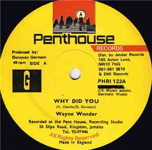 Wayne Wonder - Why Did You