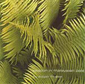 Edgar Froese - Epsilon In Malaysian Pale