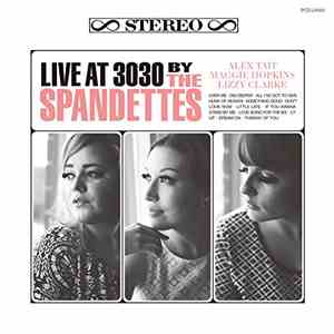 The Spandettes - Live At 3030