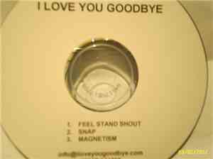 I Love You Goodbye - Feel Stand Shout