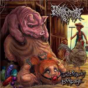 Nephrectomy - Interspecies Bondage