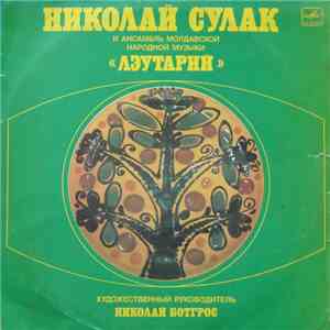 Николай Сулак, Ансамбль Молдавской Народной Музыки 