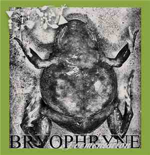 Phyllomedusa - Bryophryne Fermentation
