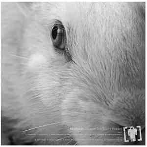 Skafandr - Follow The White Rabbit