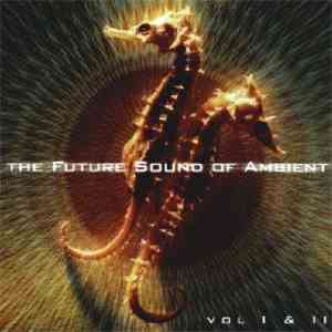 Various - The Future Sound Of Ambient Vol I & II