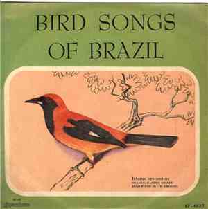 Johan Dalgas Frisch - Bird Songs Of Brazil