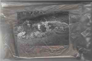The Rita - Graveyard Of Whorer / Blood Injected Into Dirt Reptile
