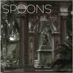 Spoons - Unexpected Guest At A Cancelled Party