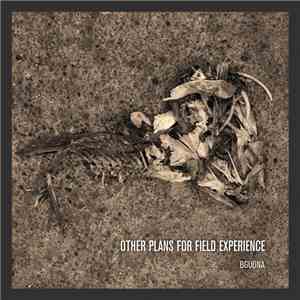 BGUDNA - Other Plans For Field Experience
