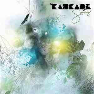 Kaskade - Sorry