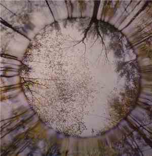 Martin Duffy - Assorted Promenades