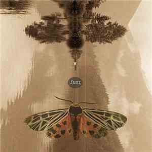 Tim Story & Hans-Joachim Roedelius - Lunz