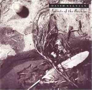 David Sylvian - Secrets Of The Beehive