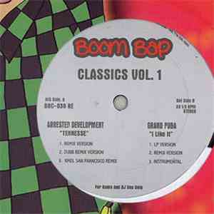 Arrested Development / Grand Puba - Tennesse Remix / I Like It